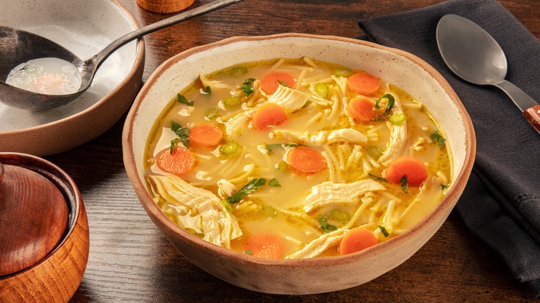noodles with vegetables and chicken in stock