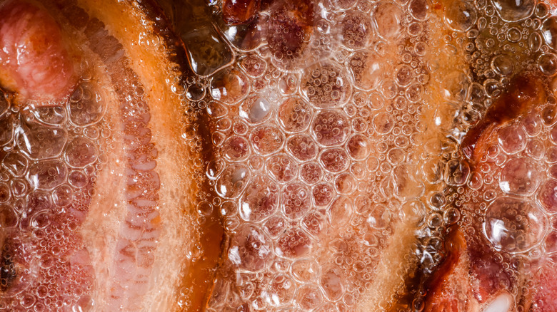 closeup of bacon fat with bacon frying