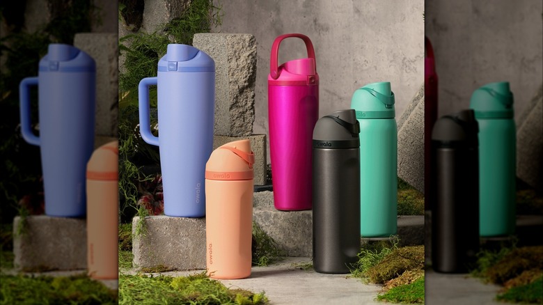Owala FreeSip Sway stainless steel water bottles posed on stone with moss.