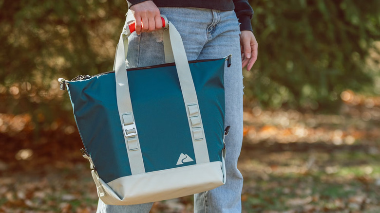 A person walking in nature holds an Ozark Trail Soft-Sided Folding Cooler with Built-in Bottle Opener.