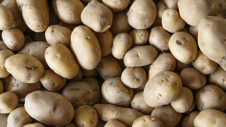 Kennebec potatoes