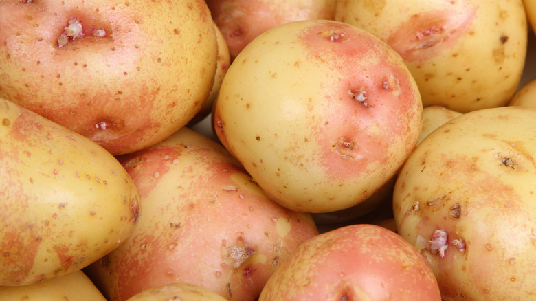 King Edward potatoes