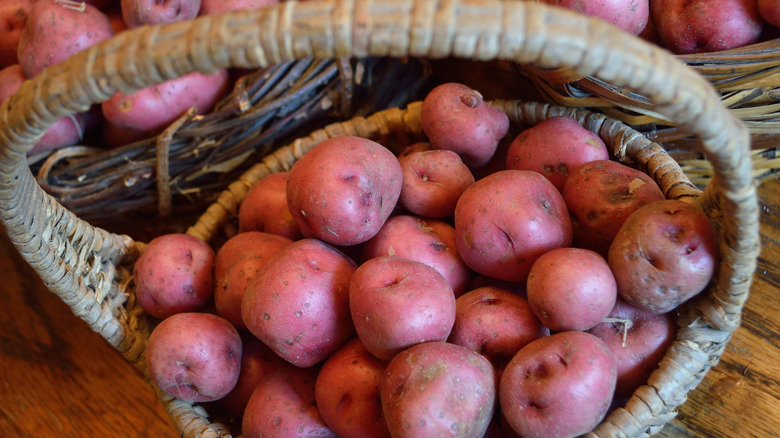 Red bliss potatoes in basket