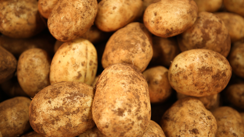 Sebago potatoes