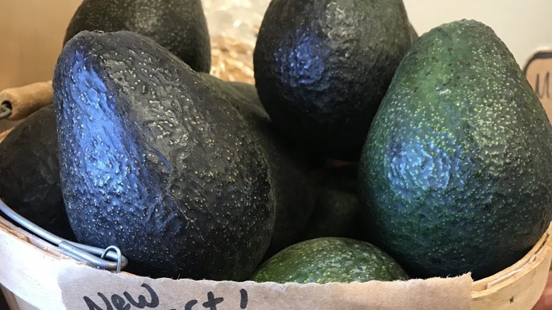 Lamb Hass avocados