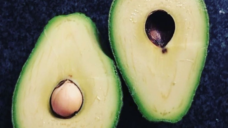 Maluma avocado