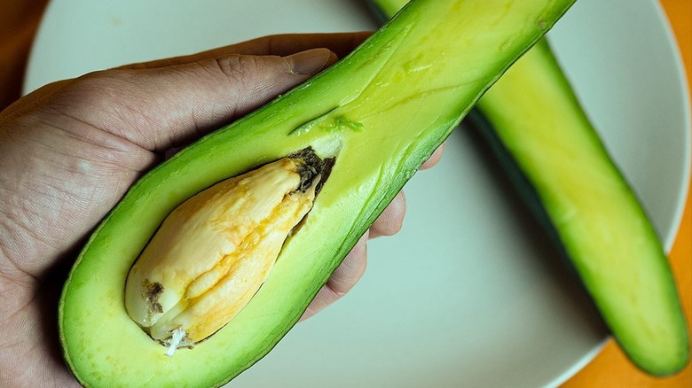 Russell avocado