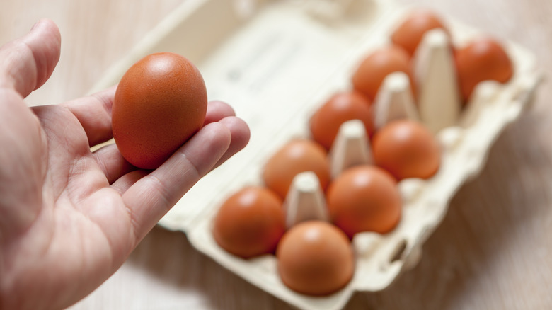 A hand holds a brown egg, with an open egg carton in the background