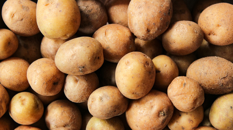 A large pile of potatoes