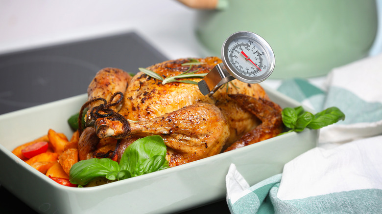 meat thermometer in turkey