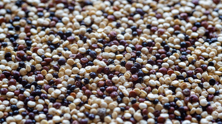toasted quinoa