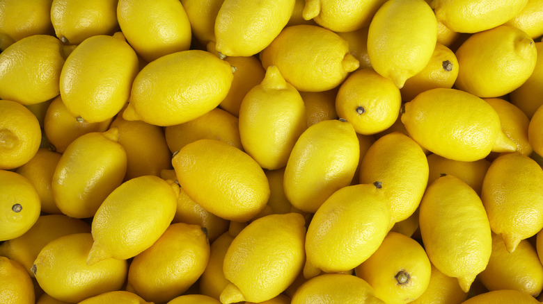 Fresh Lemon