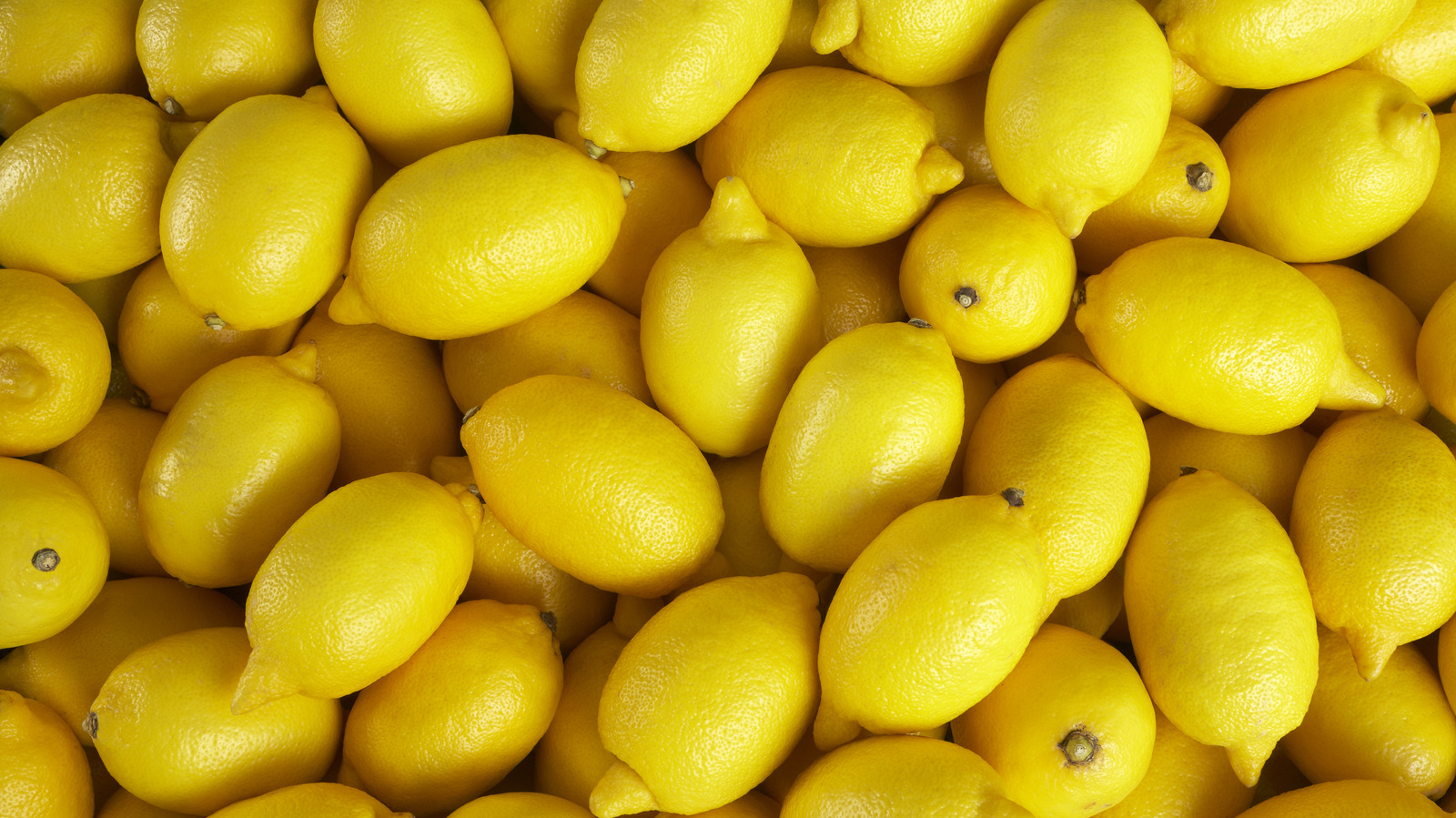 Gain Lemon Zest Dishwashing Liquid