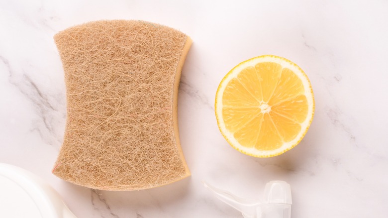 lemon and sponge