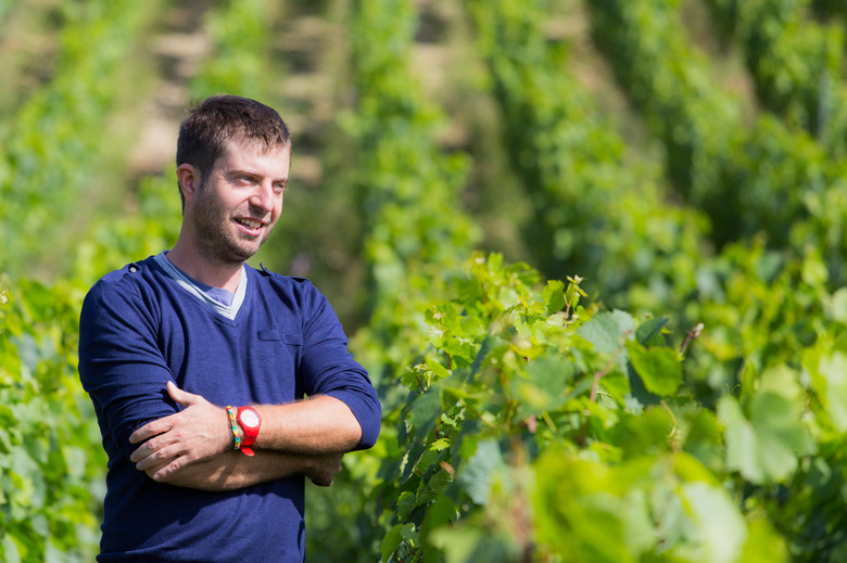 33-Year-Old Winemaker Thomas Pico Is The Future Of Natural Wine In Chablis