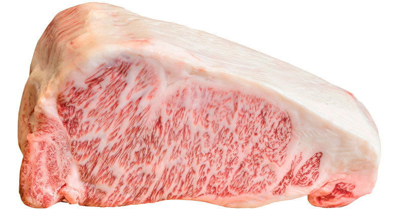 a wagyu new york strip loin roast against a white background