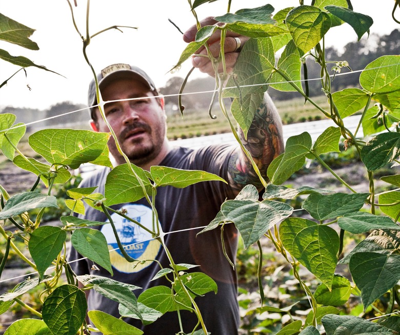 4 Years And 1 Broken Knee Later, Sean Brock's Cookbook Debut Is Out Of The Oven