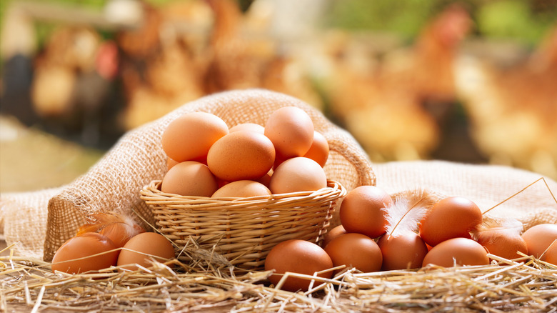 basket of eggs