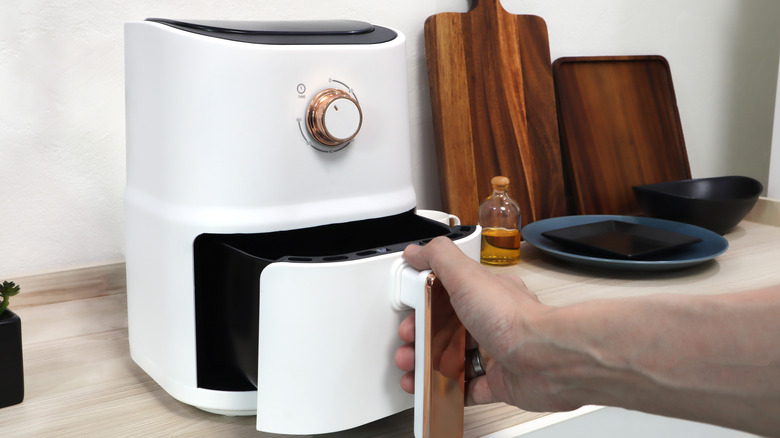 Person holding air fryer basket in hand.