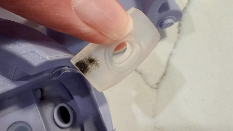 A hand holds a piece of moldy plastic from a water bottle.