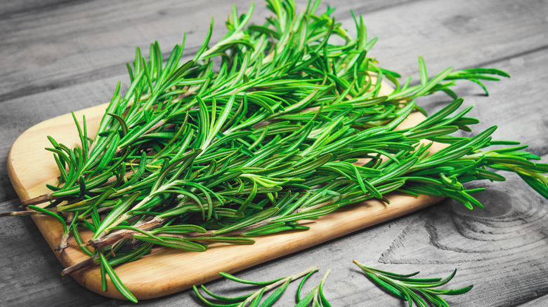 Fresh green rosemary sprigs on a wooden cutting board