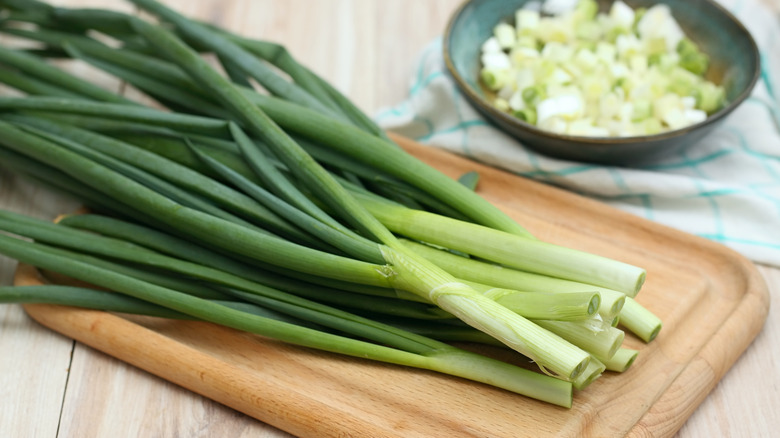 Fresh green onion on a chopping board with a bowl of chopped spring onions next to it.
