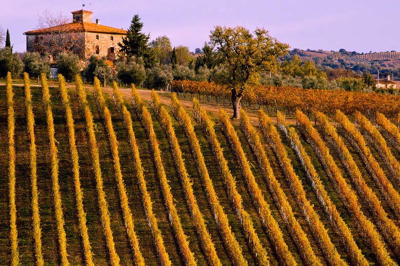 5 Italian White Wines To Drink Now