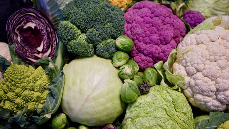 Different brassica vegetables in a pile together.