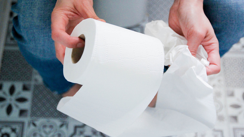 person holding a roll of toilet paper