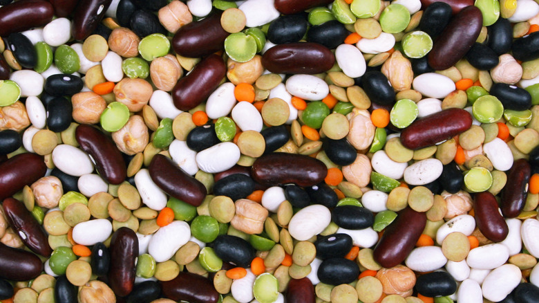 variety of beans