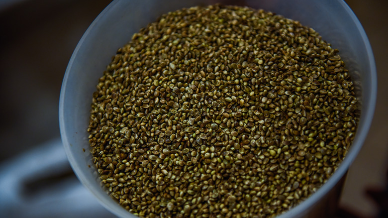 hemp seeds