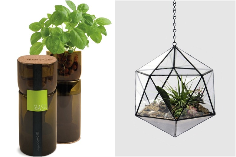 6 Terrariums, Tubs And Vertical Gardens For The Ambitious Indoor Farmer