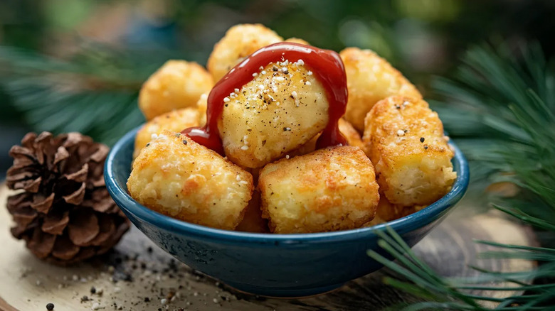 A bowl of tater tots with ketchup sits next to a pine cone