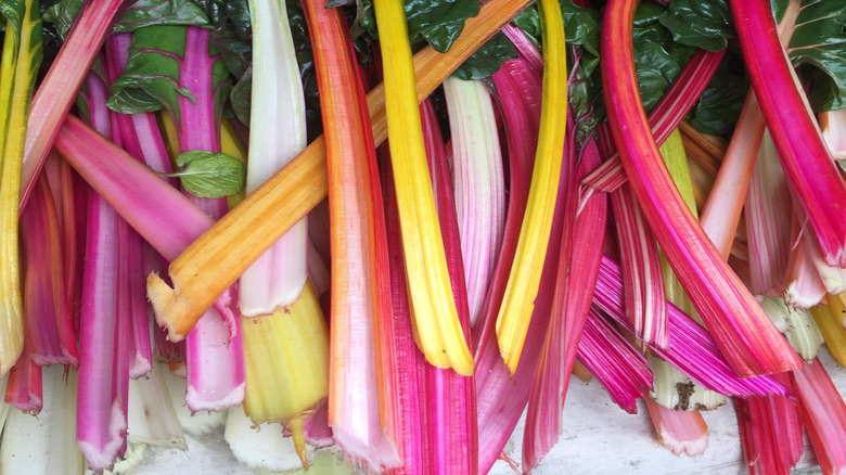 A bunch of multicolored bright lights chard