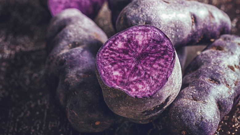 Close up of purple potatoes cut in half