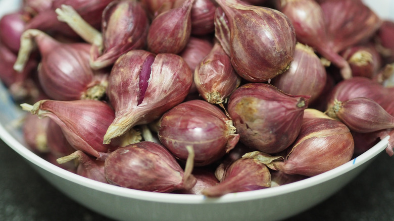 Shallots in a bowl