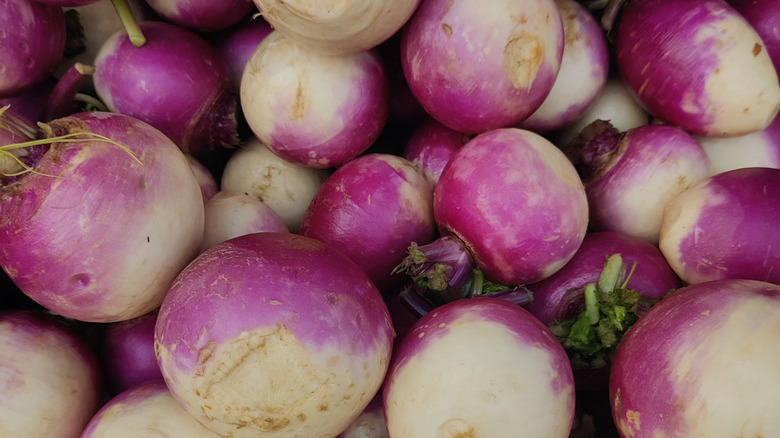 A pile of bright purple and white rutabagas