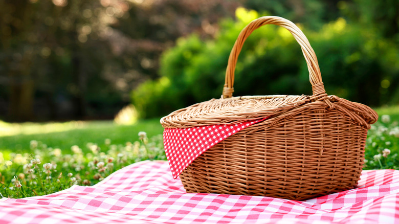 Picnic basket on blanket in grass