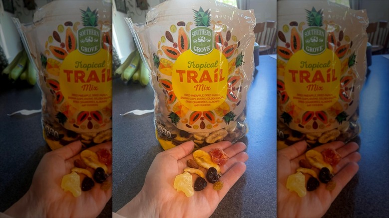 A hand holds Southern Grove Tropical Trail Mix