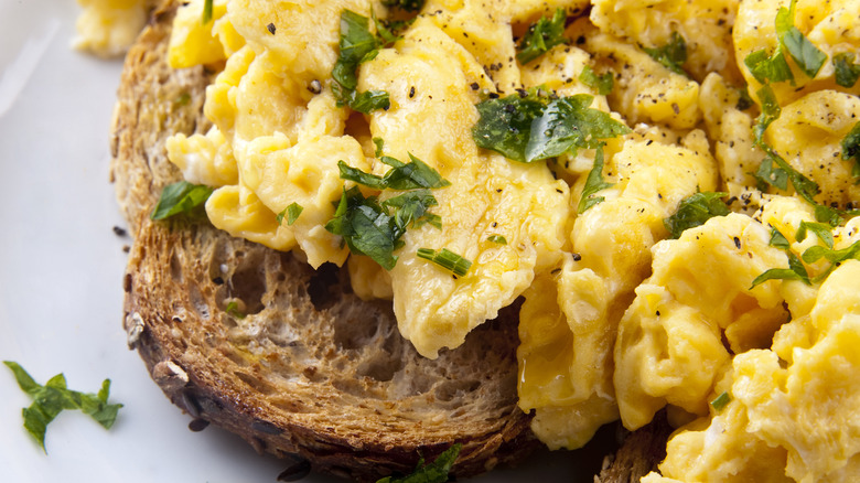 Closeup of scrambled eggs with herb garnishes on wheat toast