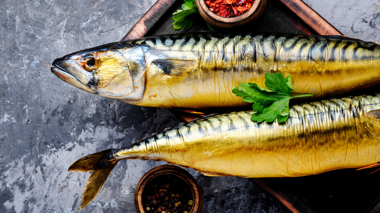 cooked whole atlantic mackerel 