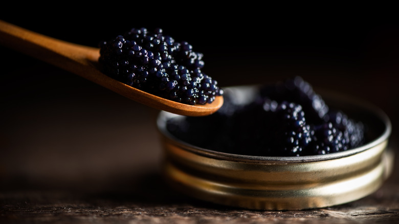 Black lumpfish caviar scooped with a wooden spoon.