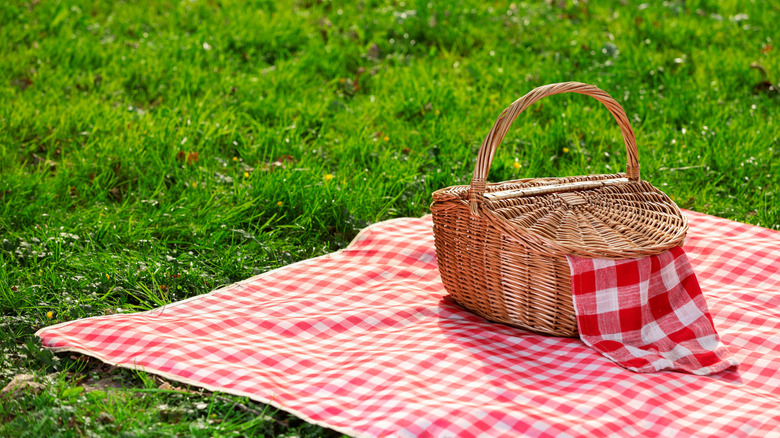 a couple having a picnic by the water in their car