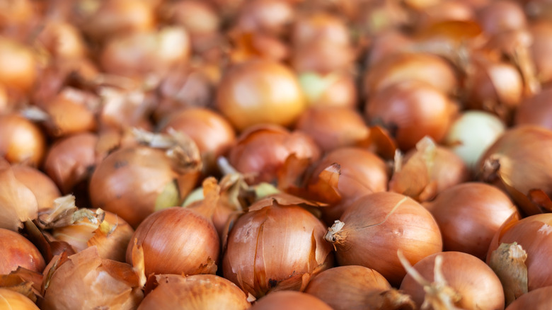 Large container of onions