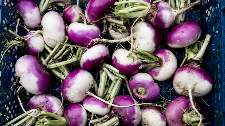 Basket full of fresh turnips