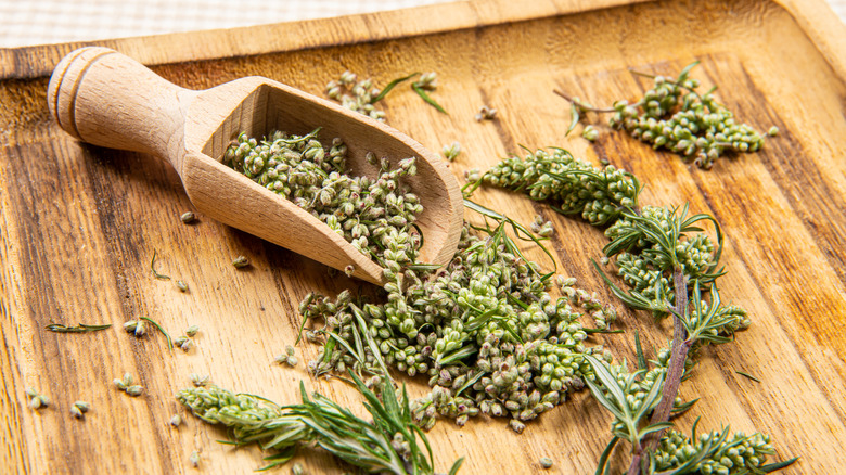 Wormwood stems on wooden board with scoop