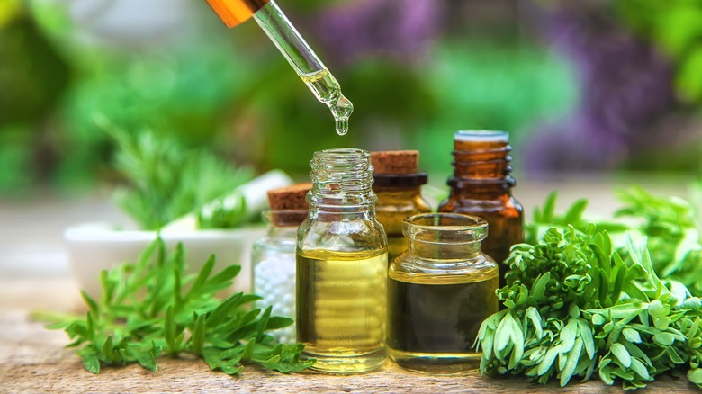 Bottles of wormwood oil and leaves with dropper