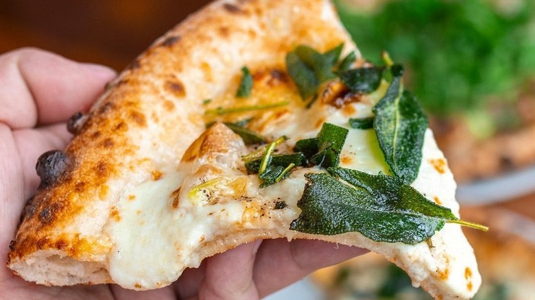 A slice of cheese pizza with fried sage