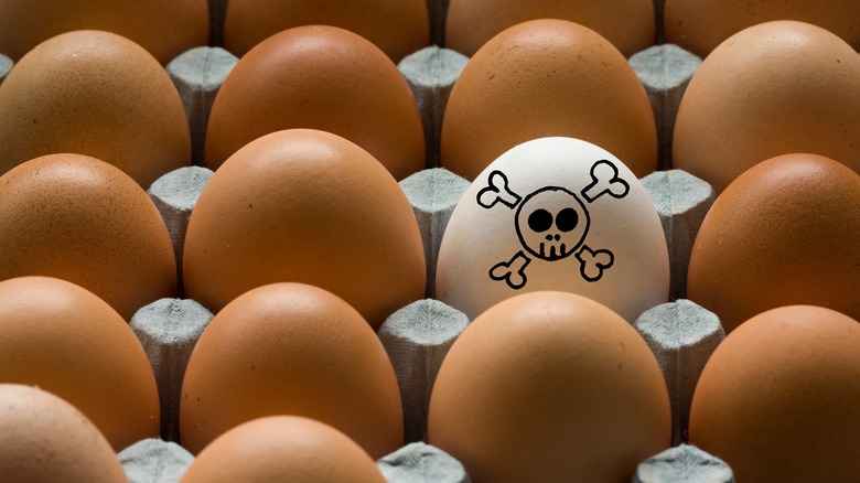 Brown eggs with one white