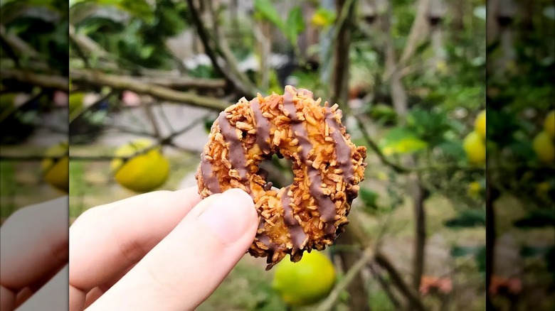 a person holding a Benton's Caramel Coconut Fudge cookie